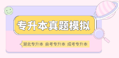 湖北专升本真题模拟