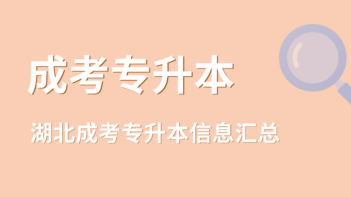 湖北成考专升本网