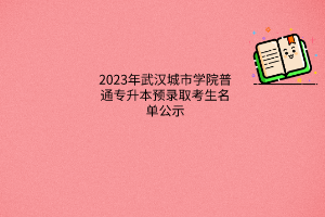 2023年武汉城市学院普通专升本预录取考生名单公示