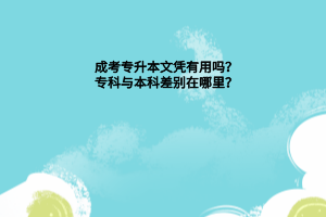 成考专升本文凭有用吗？专科与本科差别在哪里？