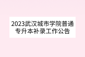 2023武汉城市学院普通专升本补录工作公告