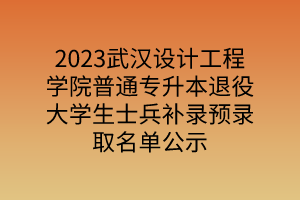 2023武汉设计工程学院普通专升本退役大学生士兵补录预录取名单公示