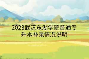 2023武汉东湖学院普通专升本补录情况说明