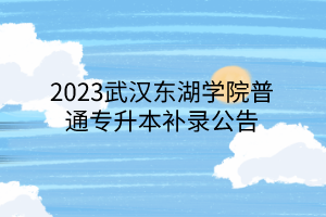 2023武汉东湖学院普通专升本补录公告