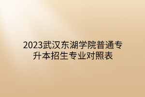 2023武汉东湖学院普通专升本招生专业对照表