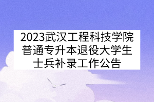 2023武汉工程科技学院普通专升本退役大学生士兵补录工作公告