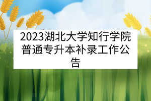 2023湖北大学知行学院普通专升本补录工作公告