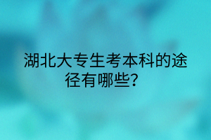 湖北大专生考本科的途径有哪些？