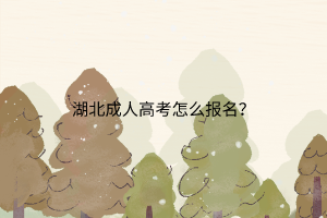 湖北成人高考怎么报名？