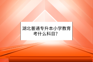 湖北普通专升本小学教育考什么科目？