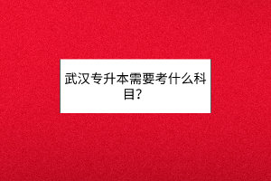 武汉专升本需要考什么科目？