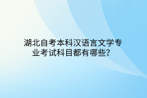 湖北自考本科汉语言文学专业考试科目都有哪些？