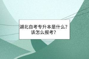 湖北自考专升本是什么？该怎么报考？