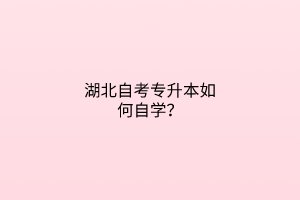 湖北自考专升本如何自学？