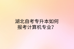 湖北自考专升本如何报考计算机专业？