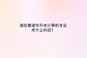 湖北普通专升本计算机专业考什么科目？