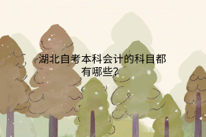 湖北自考本科会计的科目都有哪些？