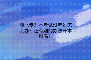 湖北专升本考试没考过怎么办？还有别的办法升本科吗？