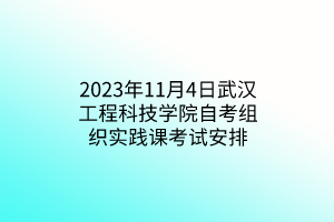 2023年11月4日武汉工程科技学院自考组织实践课考试安排