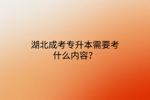 湖北成考专升本需要考什么内容？