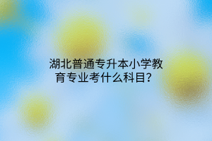 湖北普通专升本小学教育专业考什么科目？