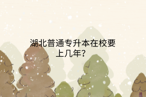 湖北普通专升本在校要上几年？