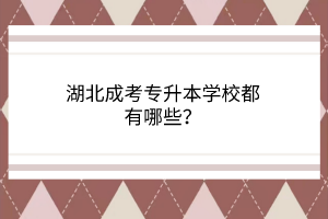湖北成考专升本学校都有哪些？