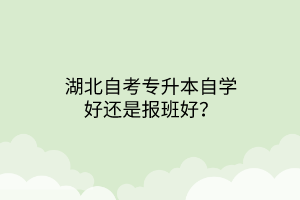 湖北自考专升本自学好还是报班好？