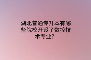 湖北普通专升本有哪些院校开设了数控技术专业？