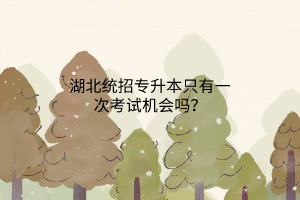 湖北统招专升本只有一次考试机会吗？