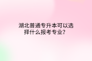 湖北普通专升本可以选择什么报考专业？