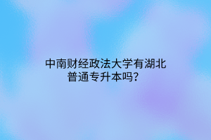 中南财经政法大学有湖北普通专升本吗？