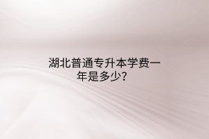 湖北普通专升本学费一年是多少？