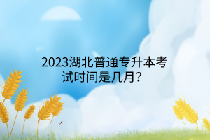 2023湖北普通专升本考试时间是几月？