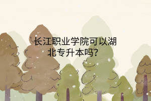 长江职业学院可以湖北专升本吗？