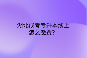 湖北成考专升本线上怎么缴费？