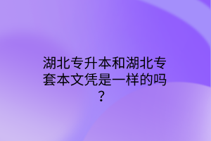 湖北专升本和湖北专套本文凭是一样的吗？