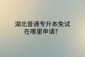 湖北普通专升本免试在哪里申请？