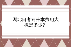 湖北自考专升本费用大概是多少？