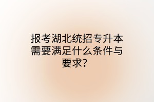 报考湖北统招专升本需要满足什么条件与要求？