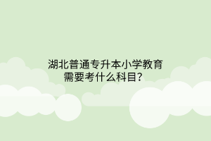湖北普通专升本小学教育需要考什么科目？