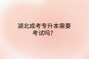 湖北成考专升本需要考试吗？