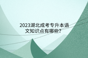 2023湖北成考专升本语文知识点有哪些？