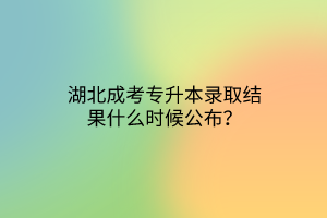 湖北成考专升本录取结果什么时候公布？