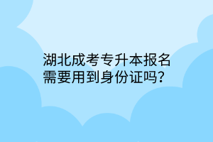 湖北成考专升本报名需要用到身份证吗？