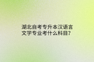 湖北自考专升本汉语言文学专业考什么科目？