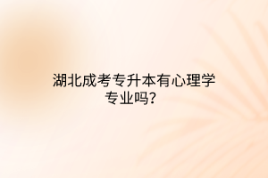 湖北成考专升本有心理学专业吗？