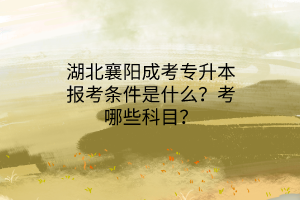 湖北襄阳成考专升本报考条件是什么？考哪些科目？