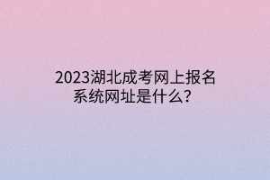 2023湖北成考网上报名系统网址是什么？