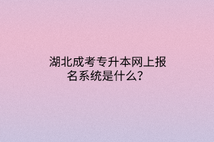 湖北成考专升本网上报名系统是什么？